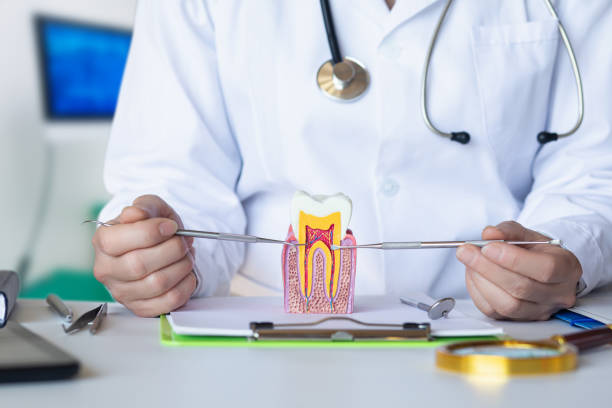 Best Emergency Cosmetic Dentistry in Richton Park, IL